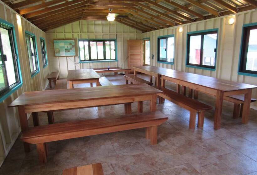 هاستل Lower Dover Jungle Lodge & Maya Ruins