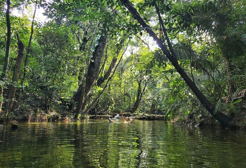 هاستل Lower Dover Jungle Lodge & Maya Ruins