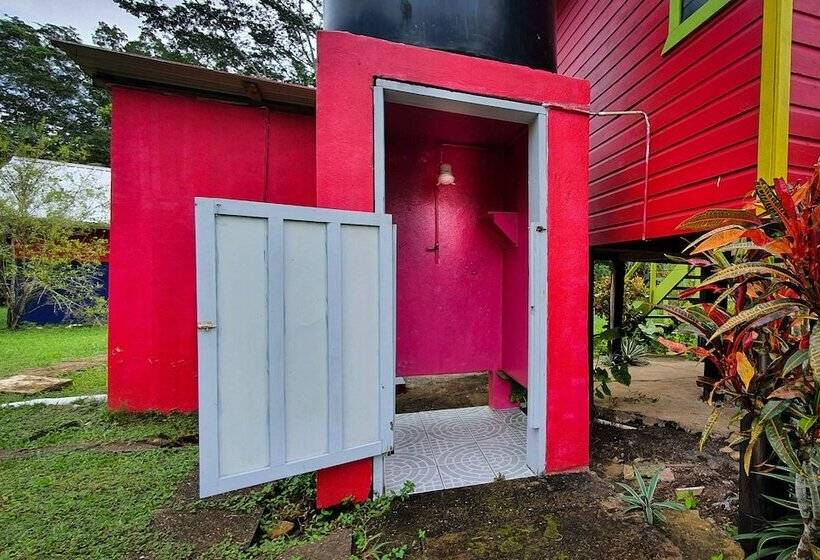 هاستل Lower Dover Jungle Lodge & Maya Ruins