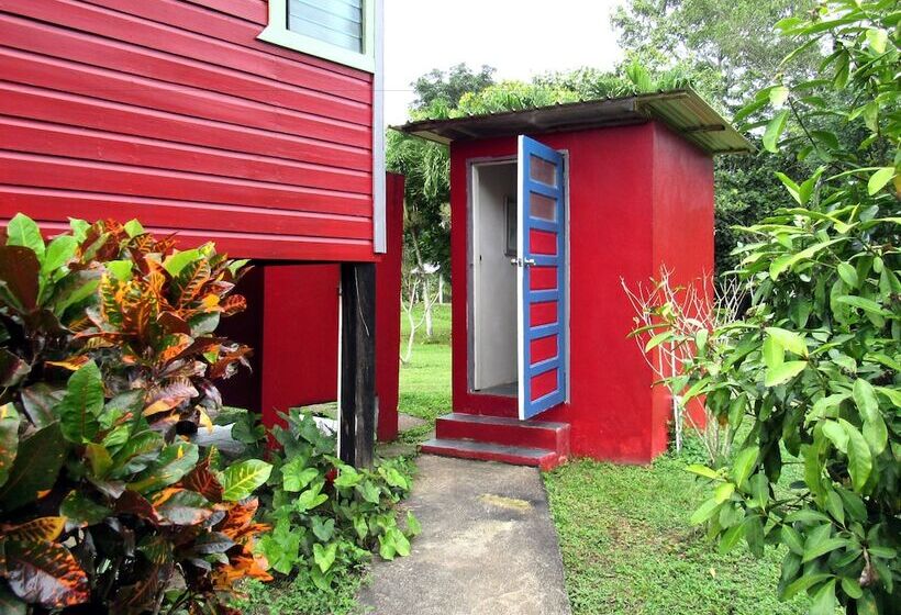 هاستل Lower Dover Jungle Lodge & Maya Ruins