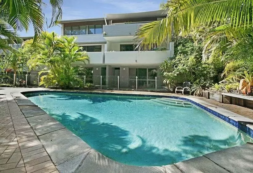 Tea Trees One Little Cove