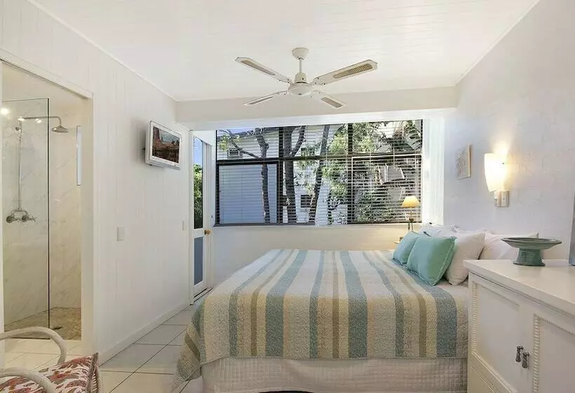 Tea Trees One Little Cove