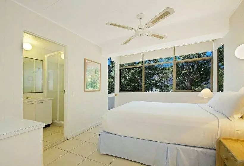 Tea Trees One Little Cove