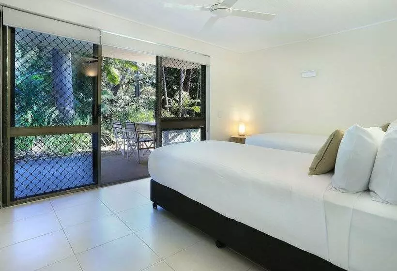 Tea Trees One Little Cove