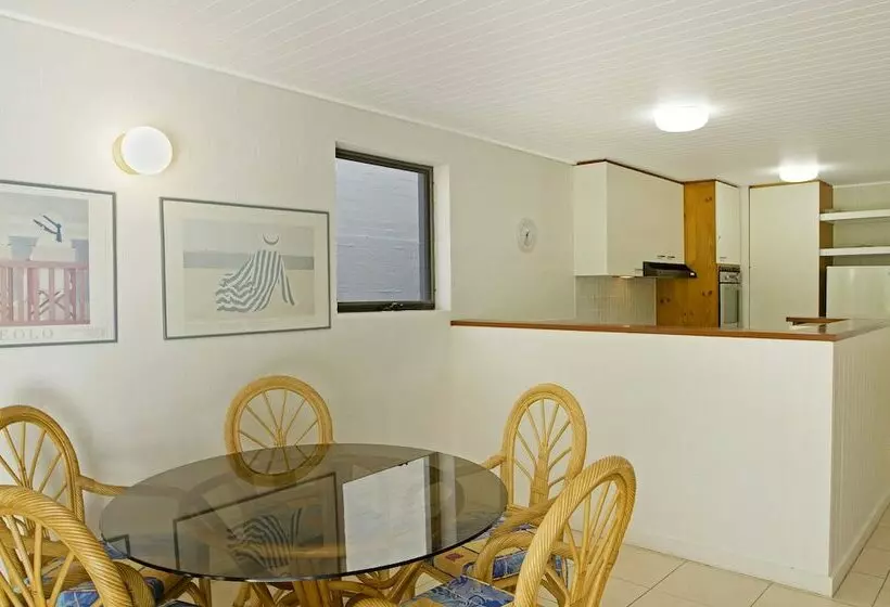 Tea Trees One Little Cove