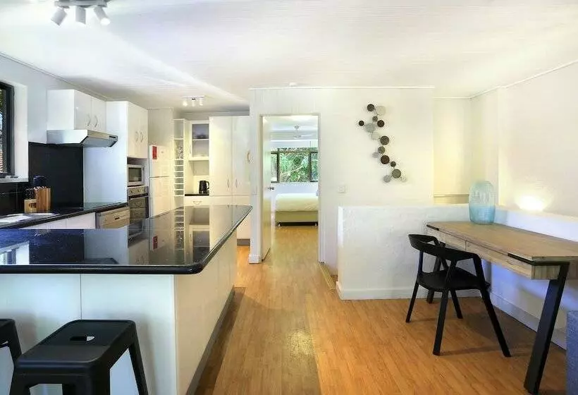 Tea Trees One Little Cove