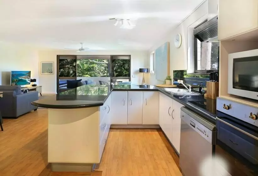 Tea Trees One Little Cove