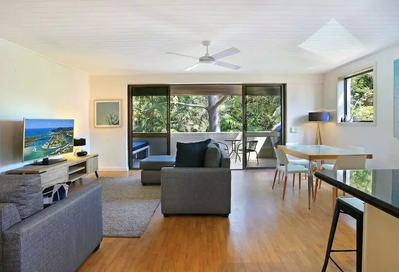 Tea Trees One Little Cove