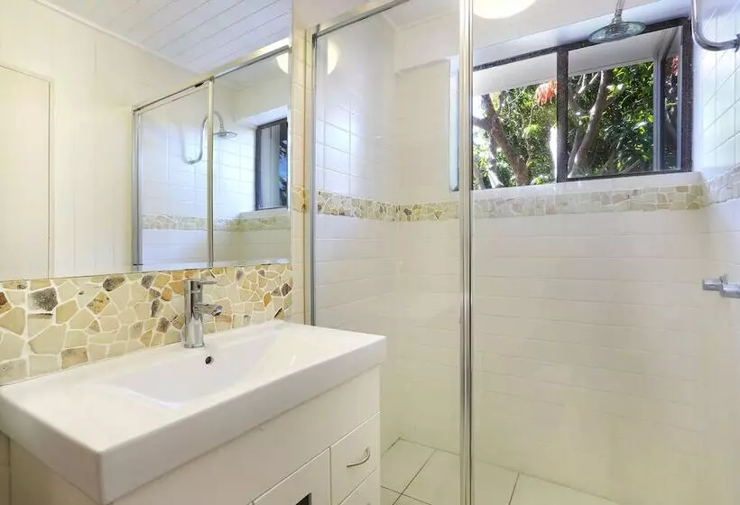 Tea Trees One Little Cove