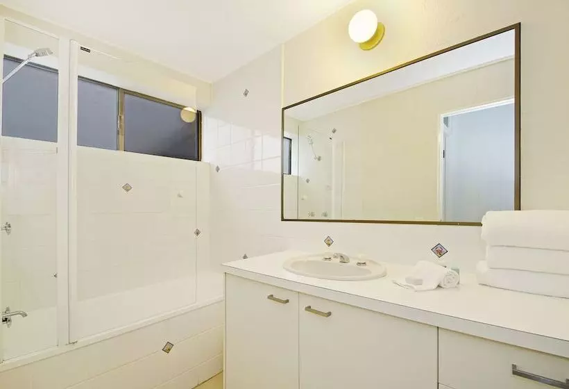 Tea Trees One Little Cove