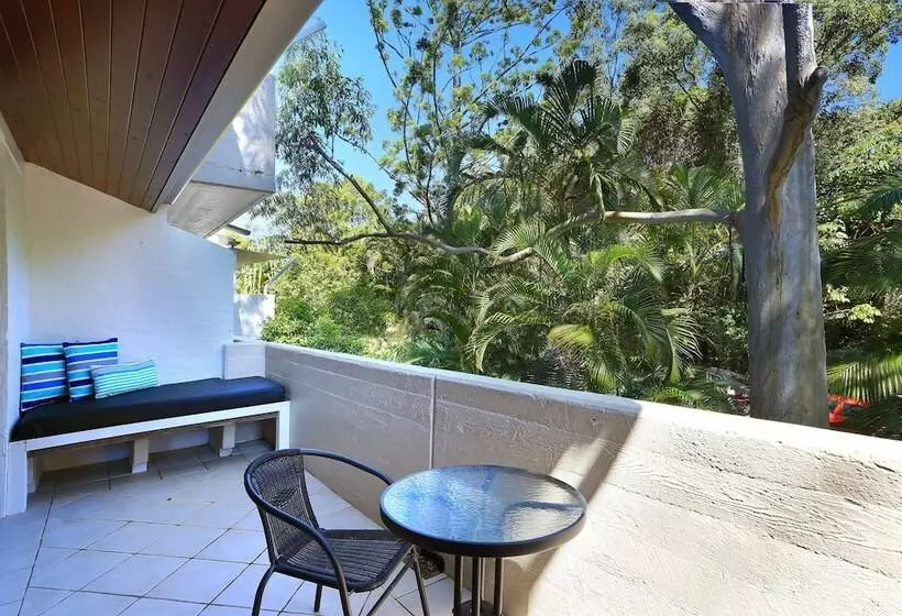 Tea Trees One Little Cove