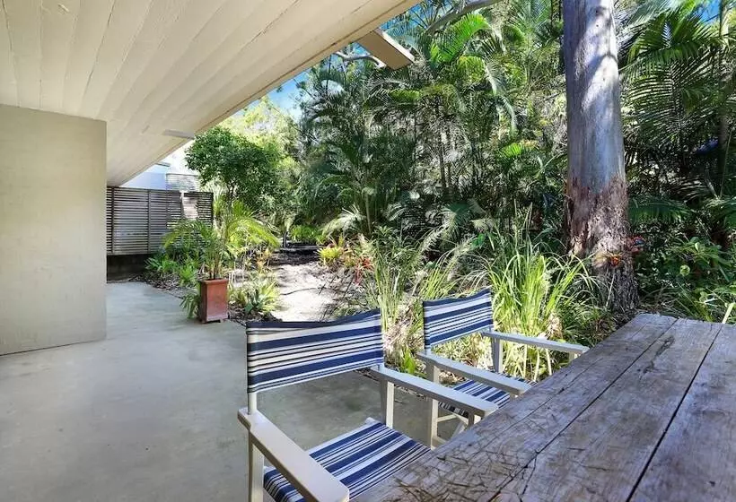 Tea Trees One Little Cove