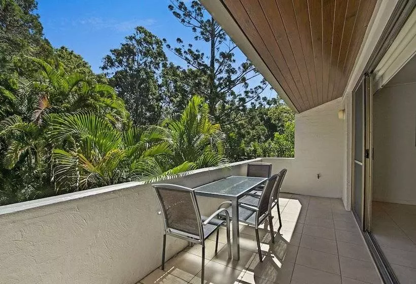 Tea Trees One Little Cove