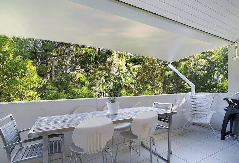 Tea Trees One Little Cove