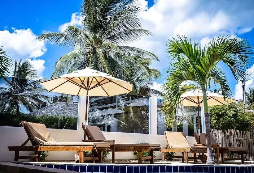 White Wind Resort