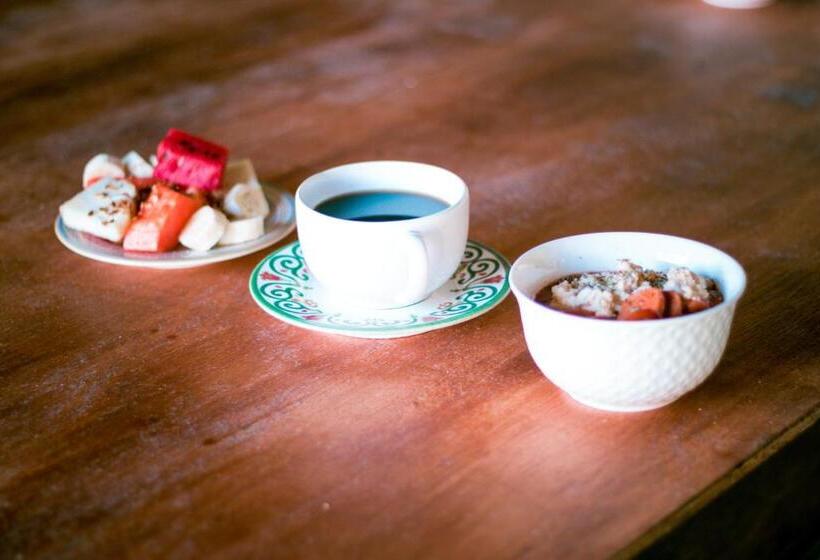 هاستل Surfcamp Arara