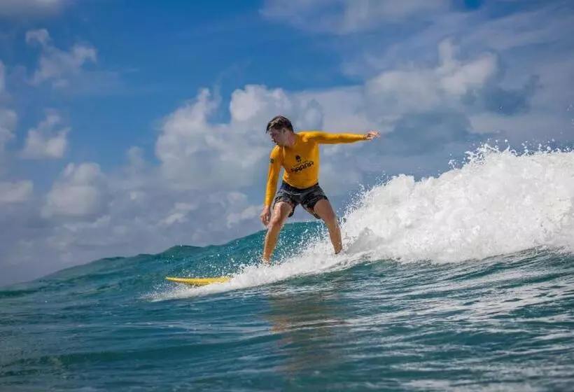 ユースホステル Surfcamp Arara