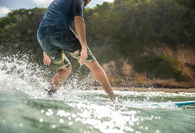 هاستل Surfcamp Arara