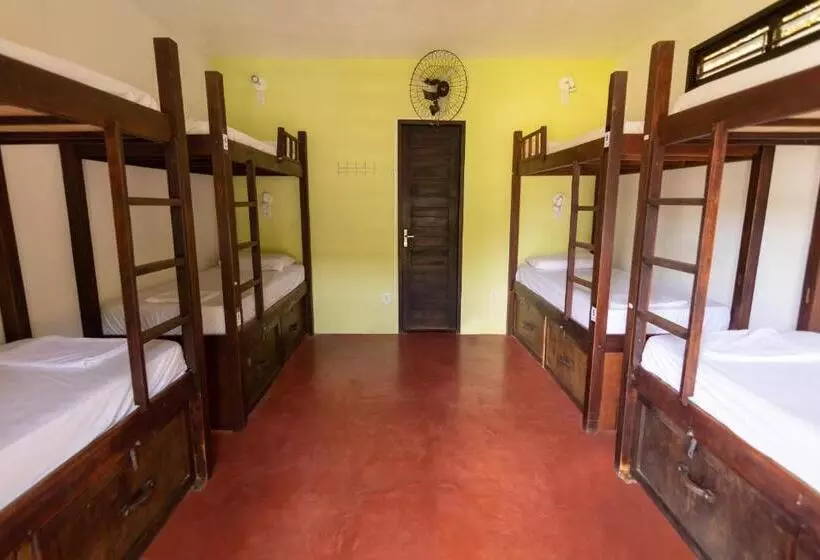 ユースホステル Surfcamp Arara