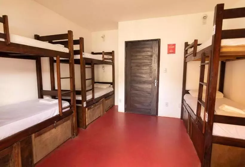 ユースホステル Surfcamp Arara