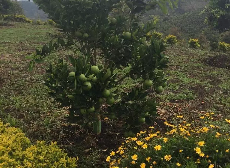 Finca El Recreo