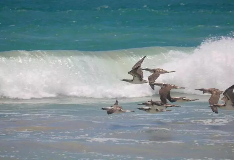 Hostal Galapagos By Bar De Beto