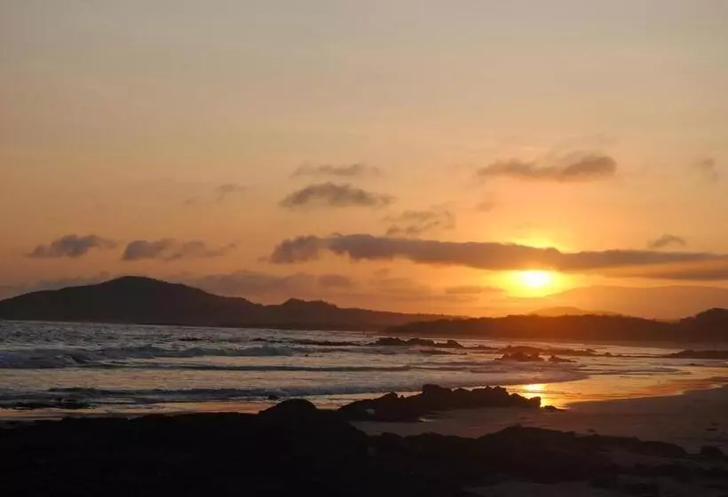 Hostal Galapagos By Bar De Beto