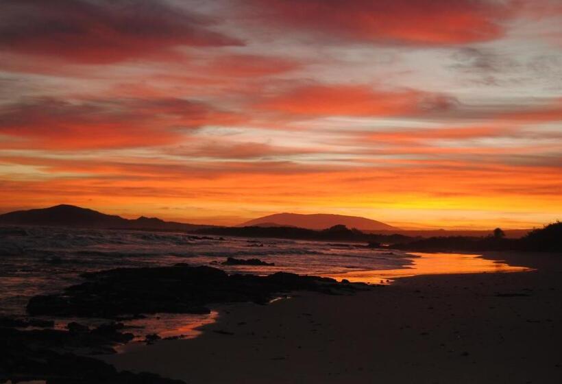 Hostal Galapagos By Bar De Beto