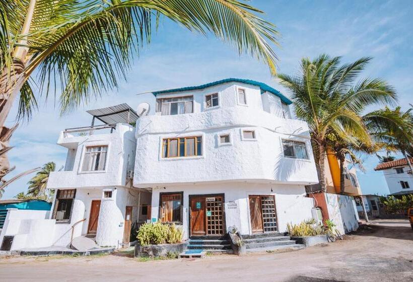 Hostal Galapagos By Bar De Beto