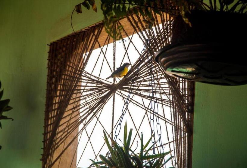 فندق A Casa é Sua!