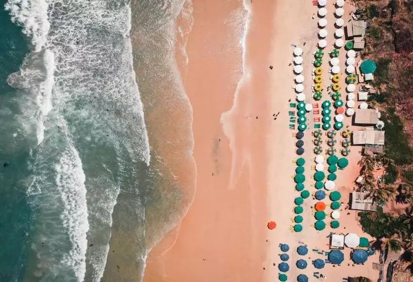 ユースホステル Surfcamp Arara