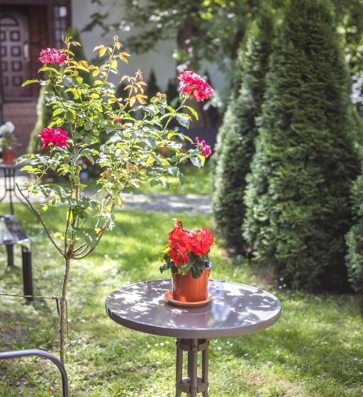 4 Couples & 4 Friends Hostel