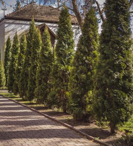 4 Couples & 4 Friends Hostel