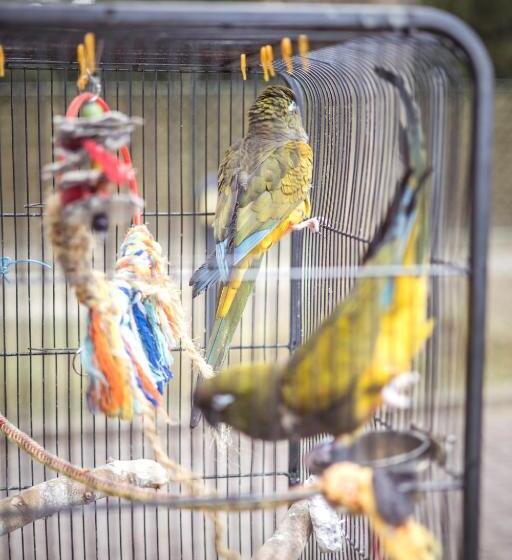 4 Couples & 4 Friends Hostel