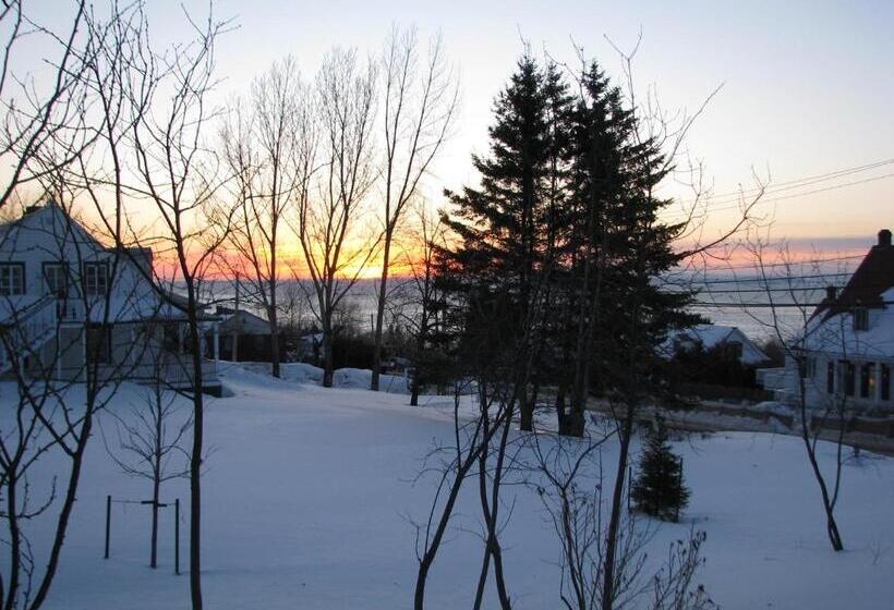 ベッドアンドブレックファースト Auberge à La Chouenne