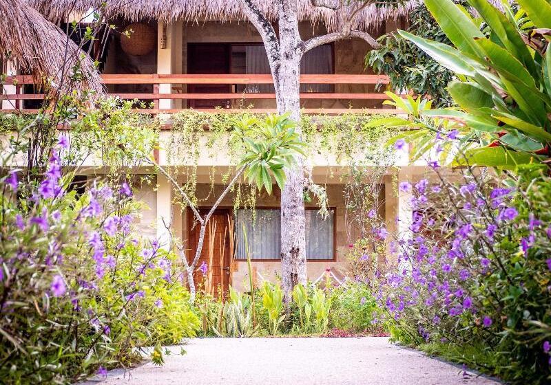 مبيت وإفطار Mango Lodge