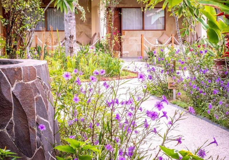 مبيت وإفطار Mango Lodge