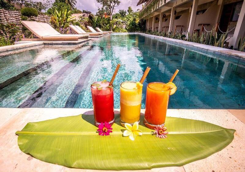 مبيت وإفطار Mango Lodge