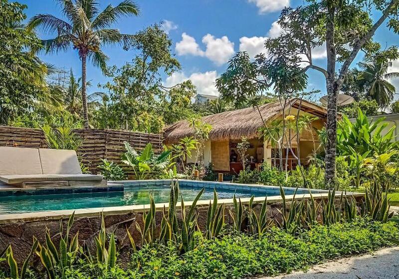 مبيت وإفطار Mango Lodge