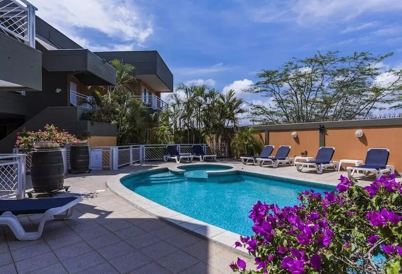 King David Suites