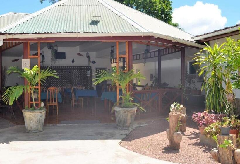 پانسیون Rising Sun Guest House