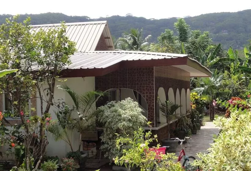 Pension Rising Sun Guest House