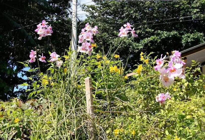 Pension Rising Sun Guest House