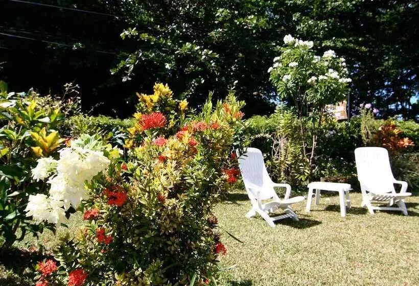 Pension Rising Sun Guest House