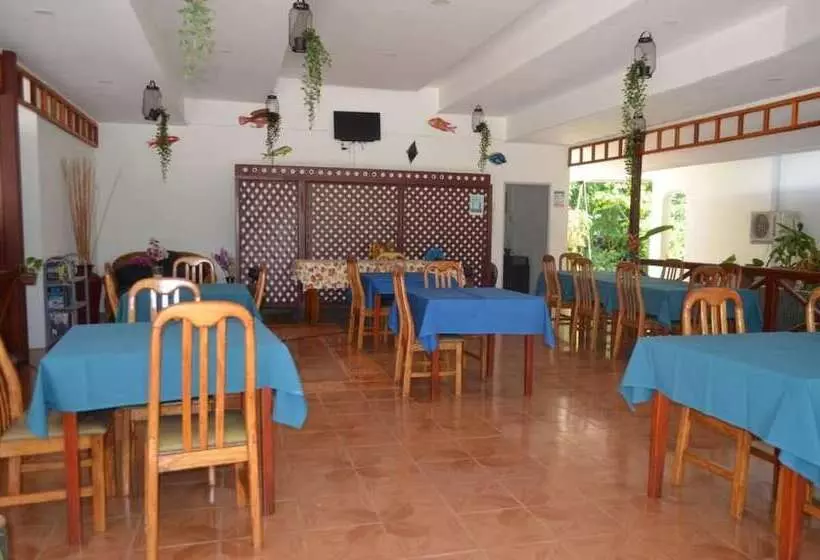 Pension Rising Sun Guest House