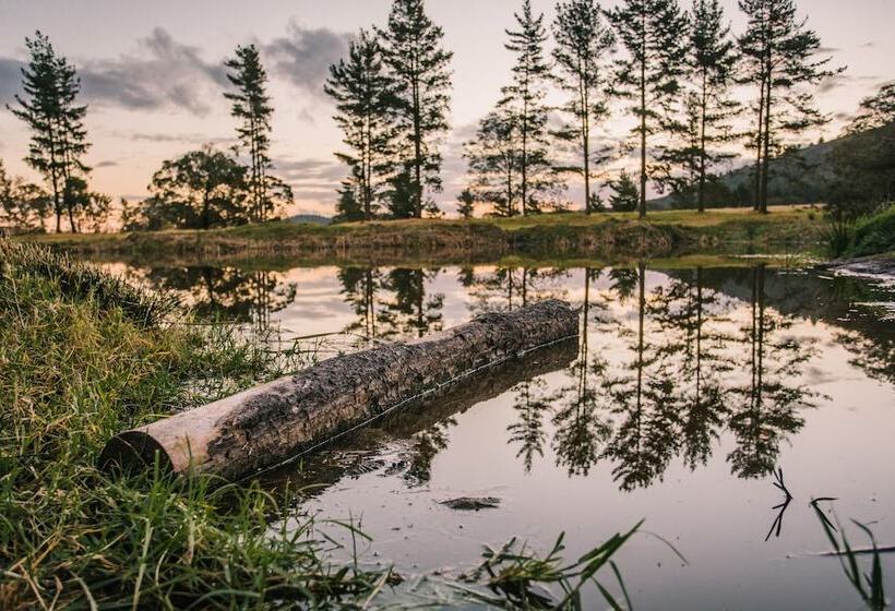 住宿加早餐  Bella Manga Country Escape