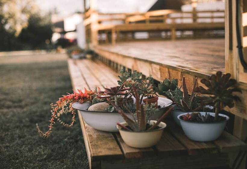 住宿加早餐  Bella Manga Country Escape