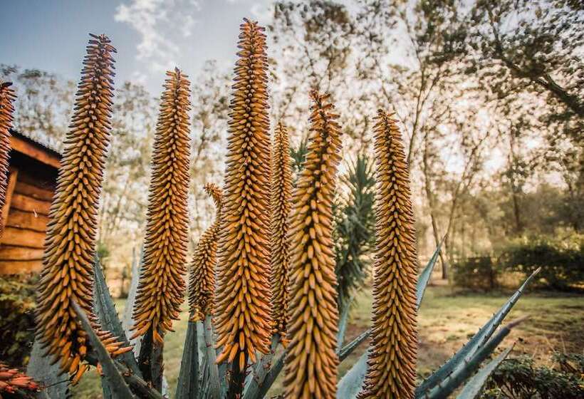 住宿加早餐  Bella Manga Country Escape