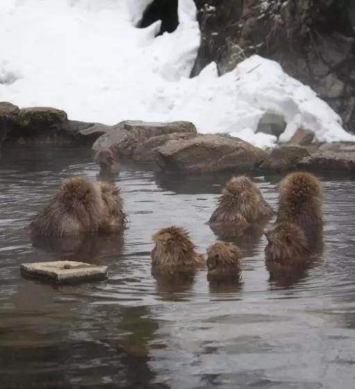 Nozaru Onsen Hostel