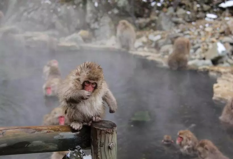 Nozaru Onsen Hostel